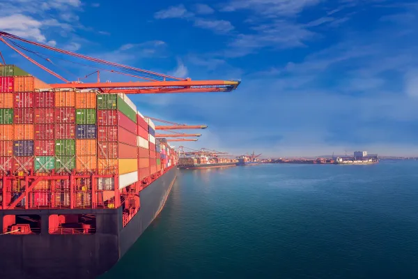 Top 30 Ocean Carriers and the Risks in a Volatile Shipping Market